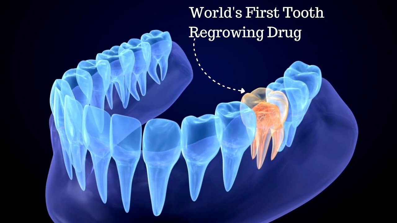 AEEDC Dental Expo 2018